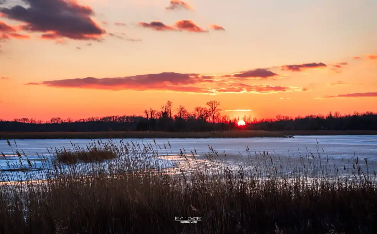 A serene winter sunset over a frozen lake, with tall reeds in the foreground and bare trees silhouetted against a vibrant…