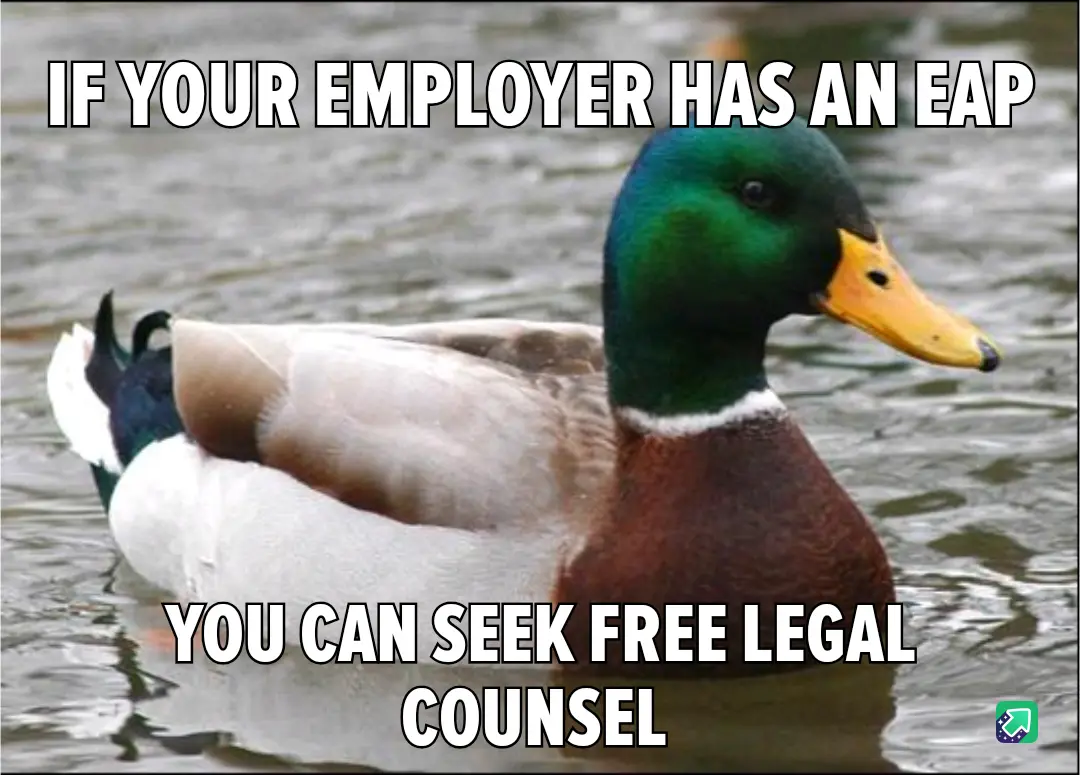 A mallard duck with a green head and yellow beak floats calmly in water. White bold text overlaid on the image reads 'IF…
