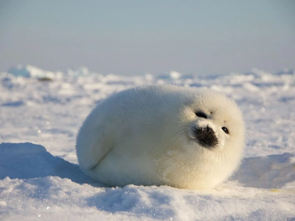 He's Got That Smile :)