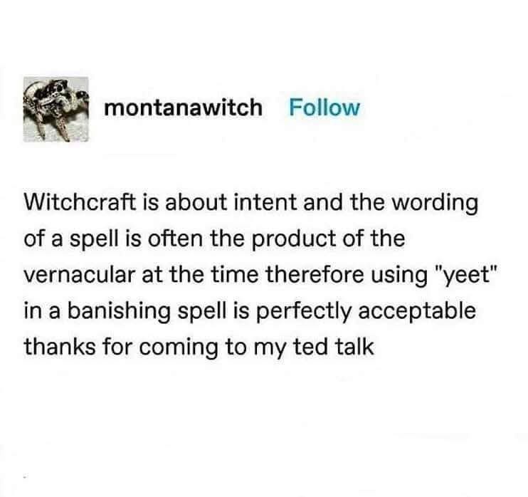 A screenshot of a social media post by 'montanawitch' with a small profile picture of a jumping spider. The post text…