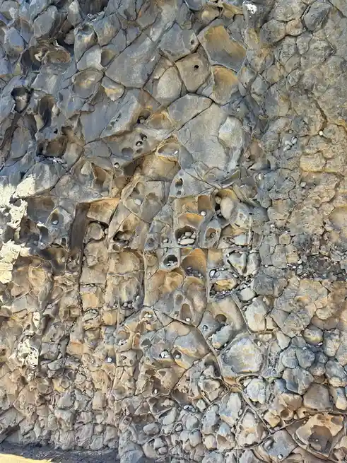 a close-up photograph of a textured rock face with numerous small, irregularly shaped holes and crevices, many of which are…