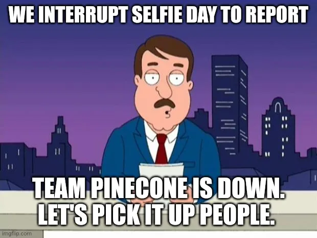 Pinecones have officially fallen!