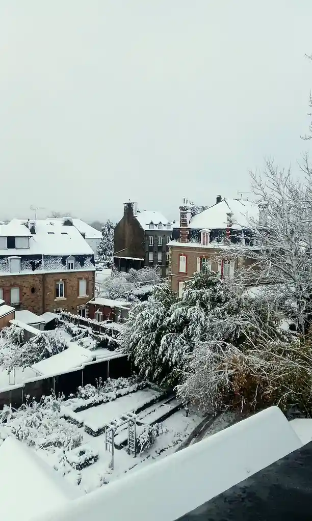 A snowy, overcast view of a residential neighborhood with brick houses, snow-covered roofs, and trees, overlaid with the…