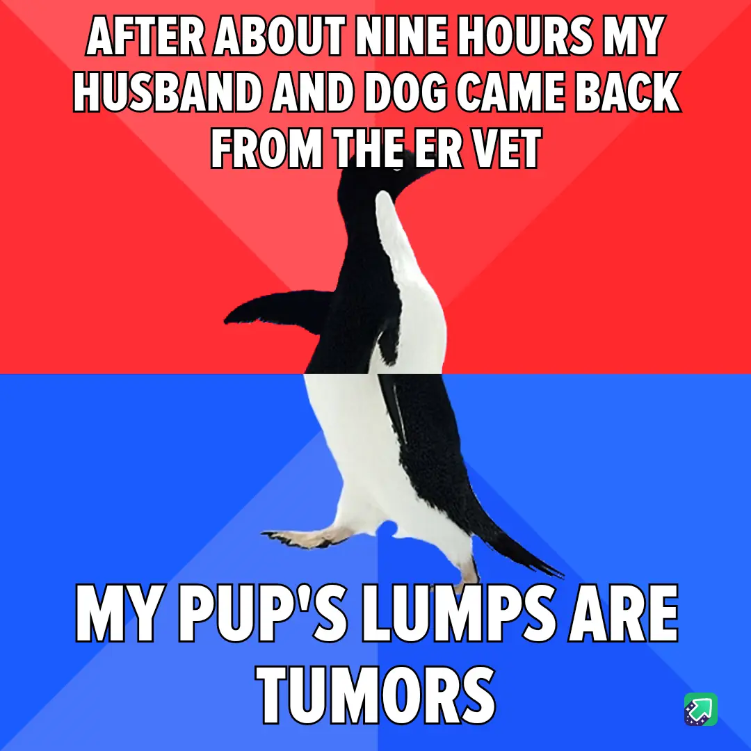 A penguin stands upright against a red and blue background, with bold white text overlaid. The top text reads 'AFTER ABOUT…