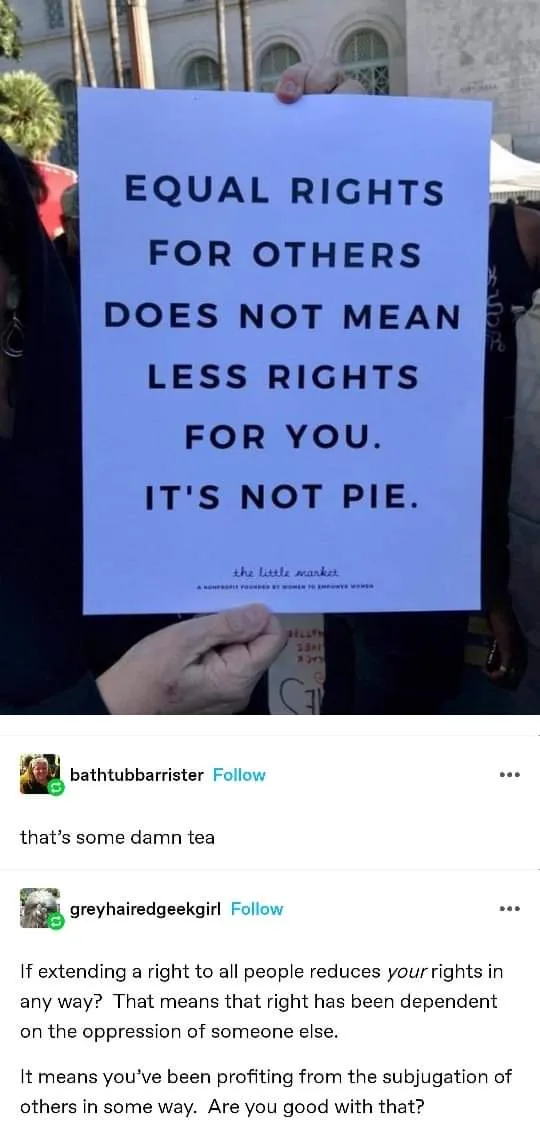 A person holds a light blue protest sign with bold black text stating 'EQUAL RIGHTS FOR OTHERS DOES NOT MEAN LESS RIGHTS FOR…