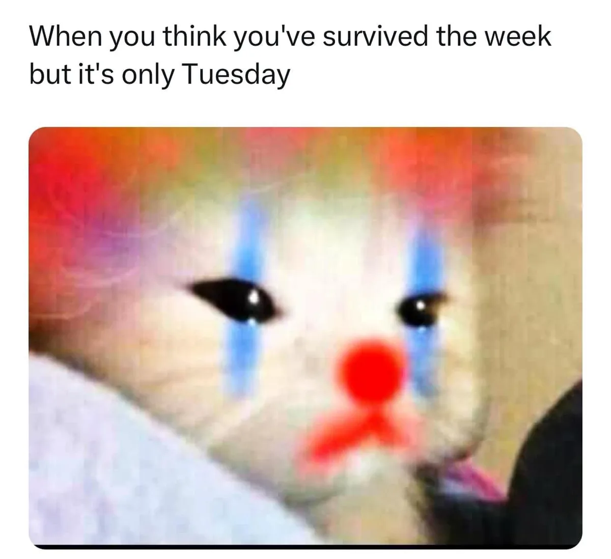 A blurry image of a white kitten with digitally added clown makeup — blue tears running down its cheeks and a red nose…