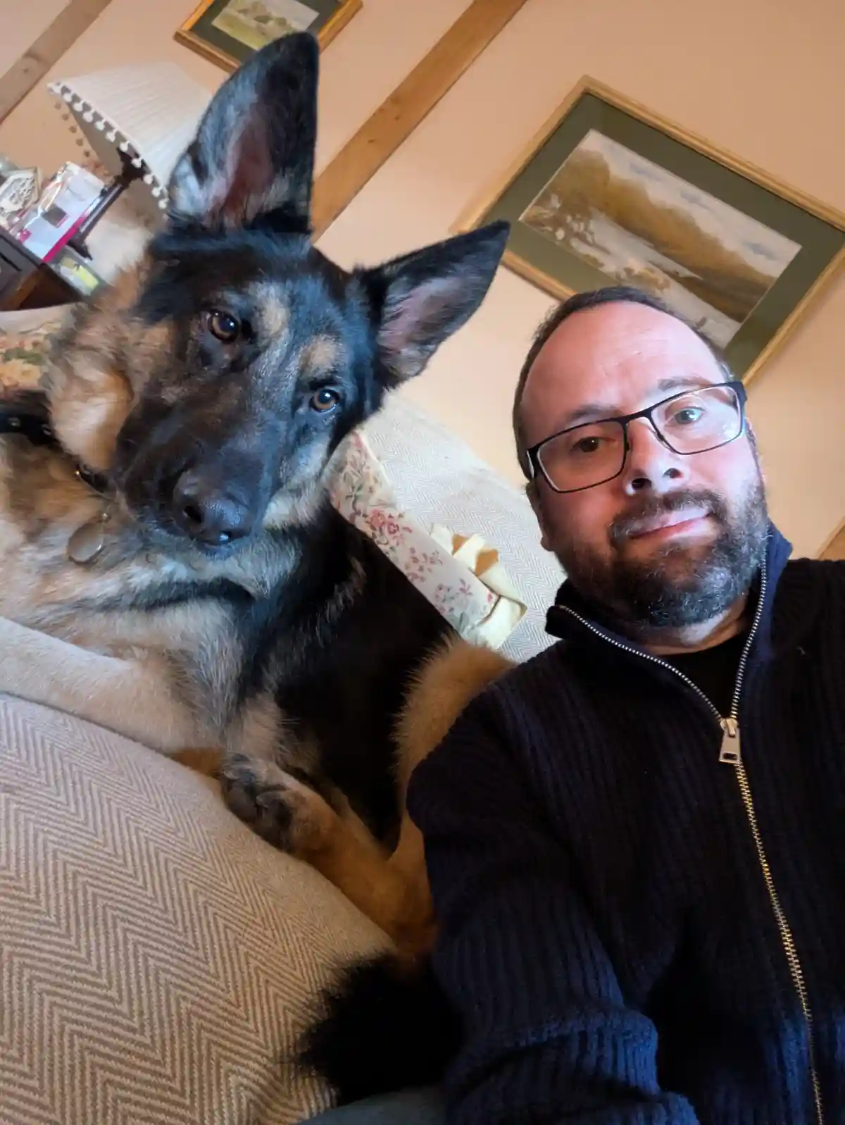 A man with glasses and a beard takes a selfie with a German Shepherd dog sitting beside him on a patterned couch. The dog…