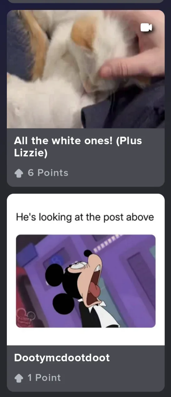 A screenshot of a Reddit-style comment thread shows a user posting a video of a white cat being petted, captioned 'All the…