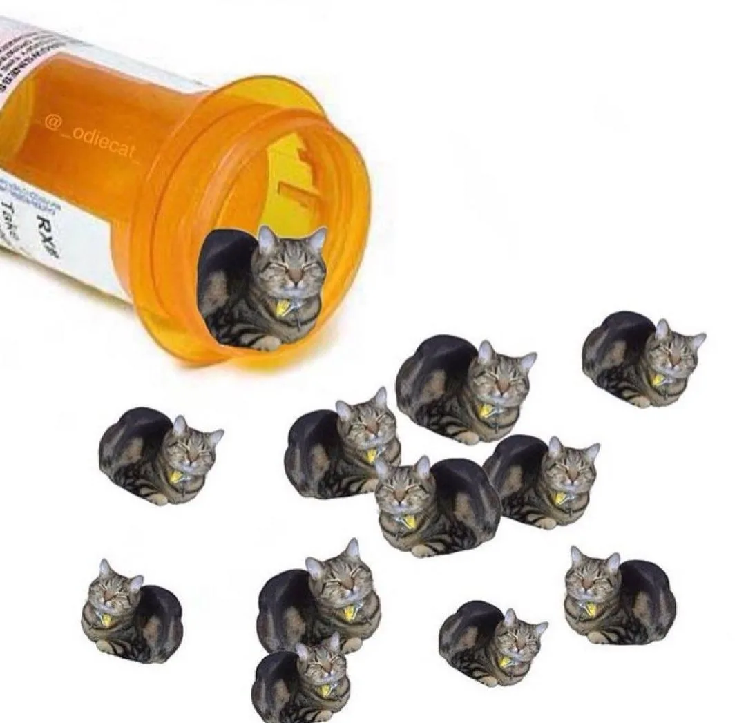 An orange prescription pill bottle is tipped over, with a tabby cat with a yellow collar emerging from the opening…