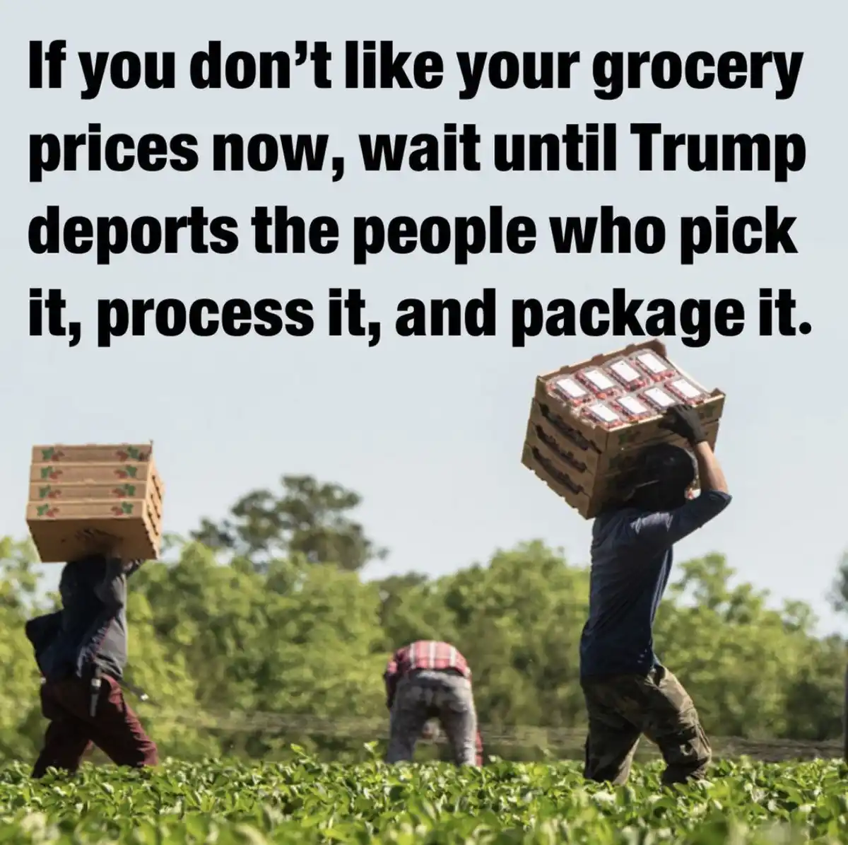 The image shows three workers in a green field carrying heavy stacks of cardboard boxes on their heads. One worker in the…