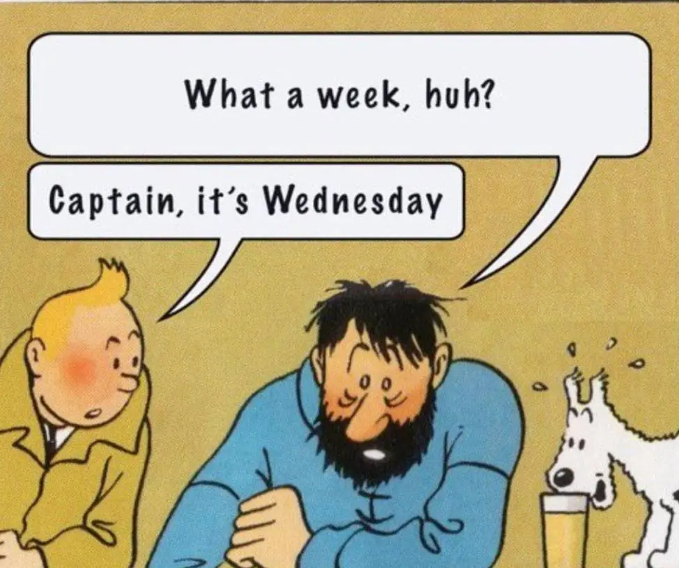 A comic panel featuring Tintin and Captain Haddock. Tintin says 'What a week, huh?' while Captain Haddock, looking…
