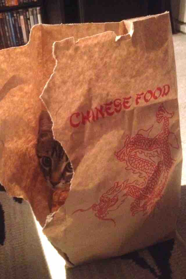 A brown paper takeout bag with red 'CHINESE FOOD' text and a dragon illustration is torn open, revealing a tabby cat peeking…