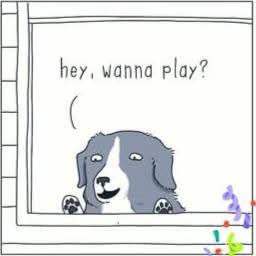 A cartoon drawing of a gray and white dog with a happy expression, peeking through a window frame with its paws resting on…
