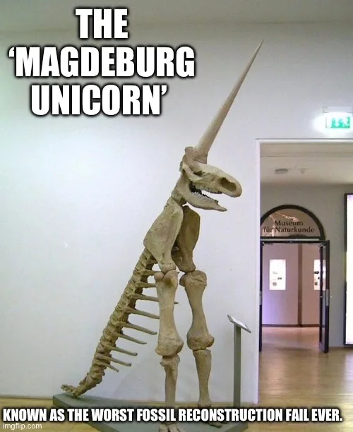 A museum exhibit displays a skeletal reconstruction of a prehistoric animal with an extremely long, pointed horn protruding…