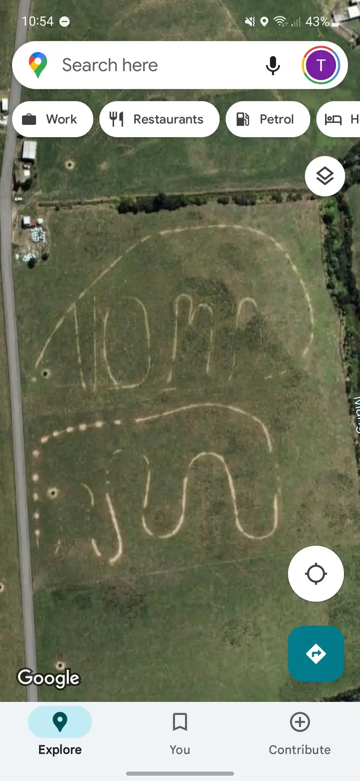 A screenshot of Google Maps satellite view showing a large, crude drawing in a field that spells out '40m' in large letters…