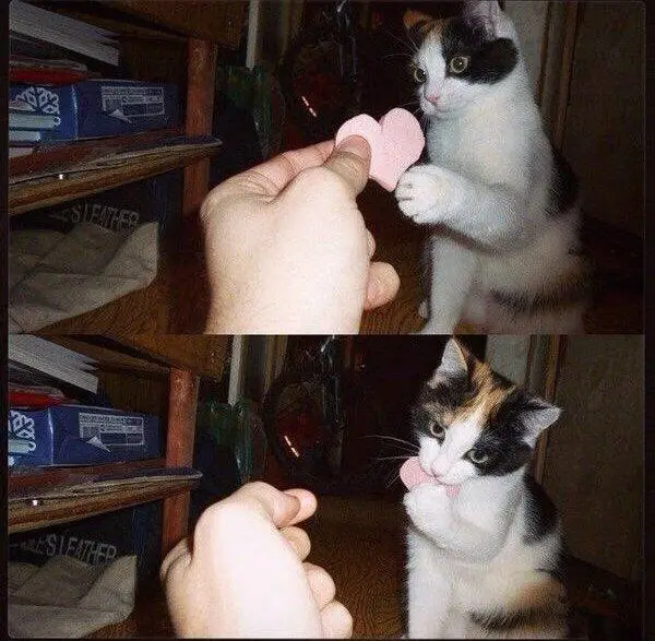 You completely stole my heart!