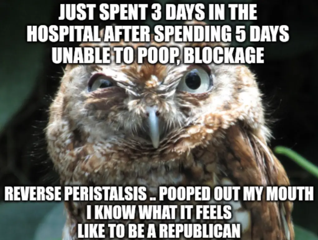 A close-up photo of a brown owl with wide, startled eyes and a slightly open beak, overlaid with white text describing a…