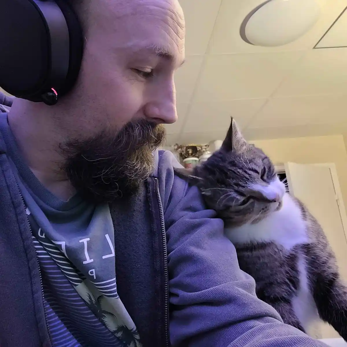 A man with a beard and large black headphones is holding a gray and white cat that is sleeping soundly on his shoulder. The…