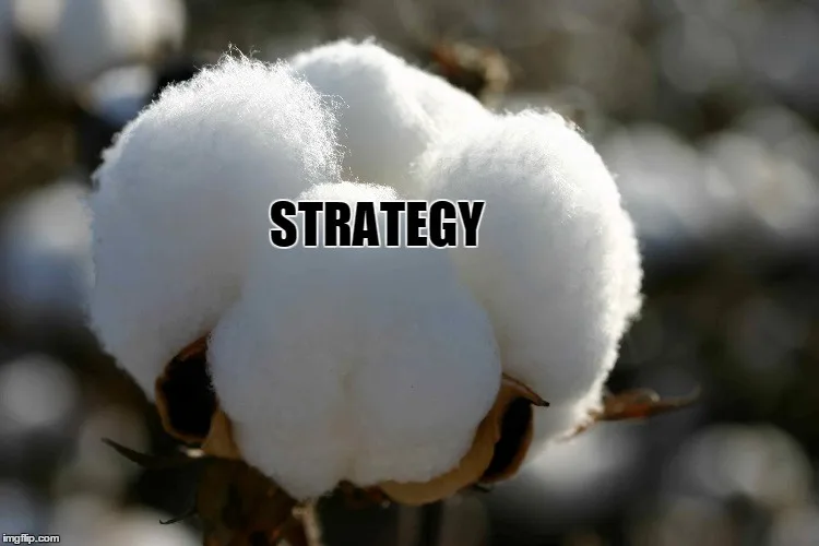 A close-up photograph of a fluffy white cotton boll on a plant, with the word 'STRATEGY' in bold black text overlaid across…