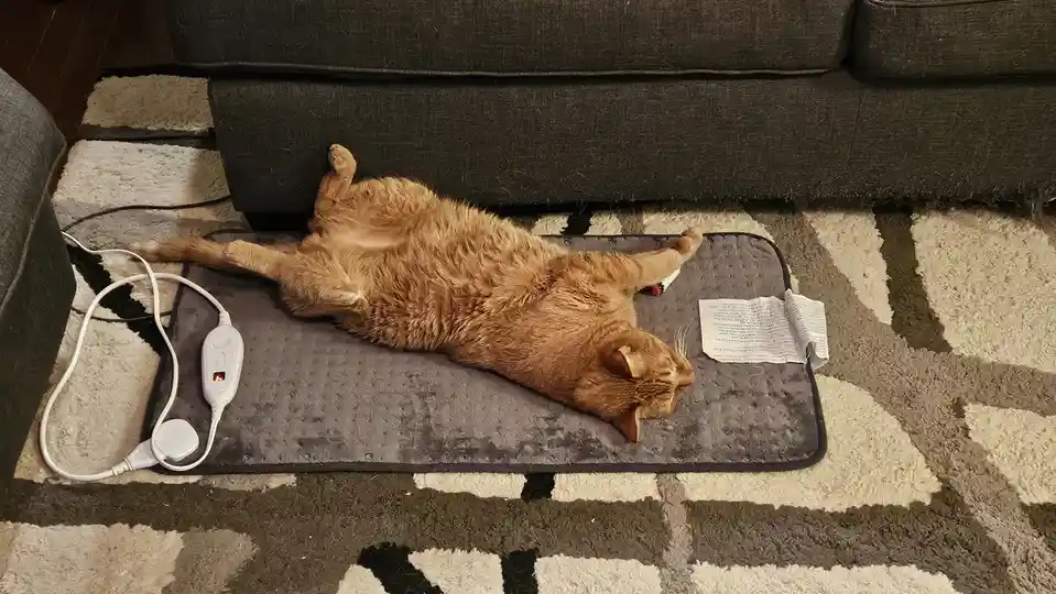 An orange tabby cat is lying on its back on a grey electric heating pad, which is plugged in and turned on, as indicated by…