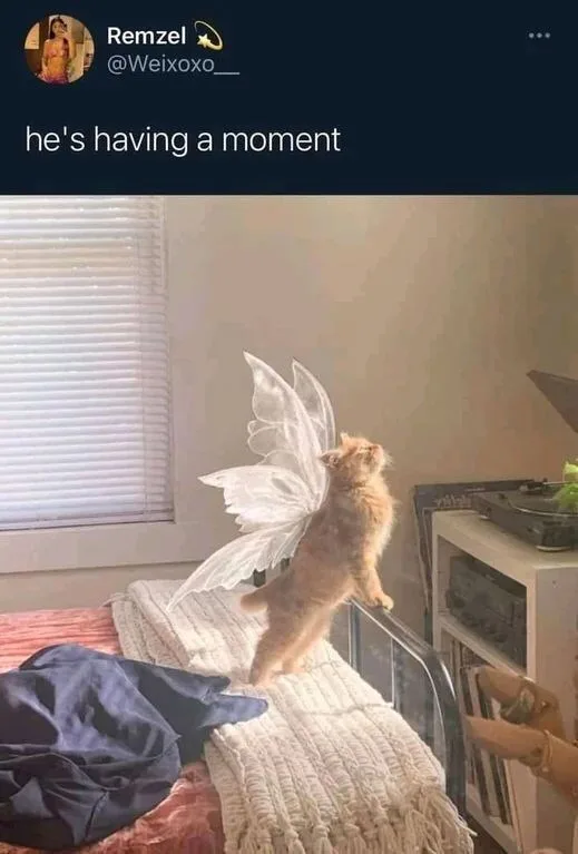He Was a Fairy Until AI Took Over His Magic
