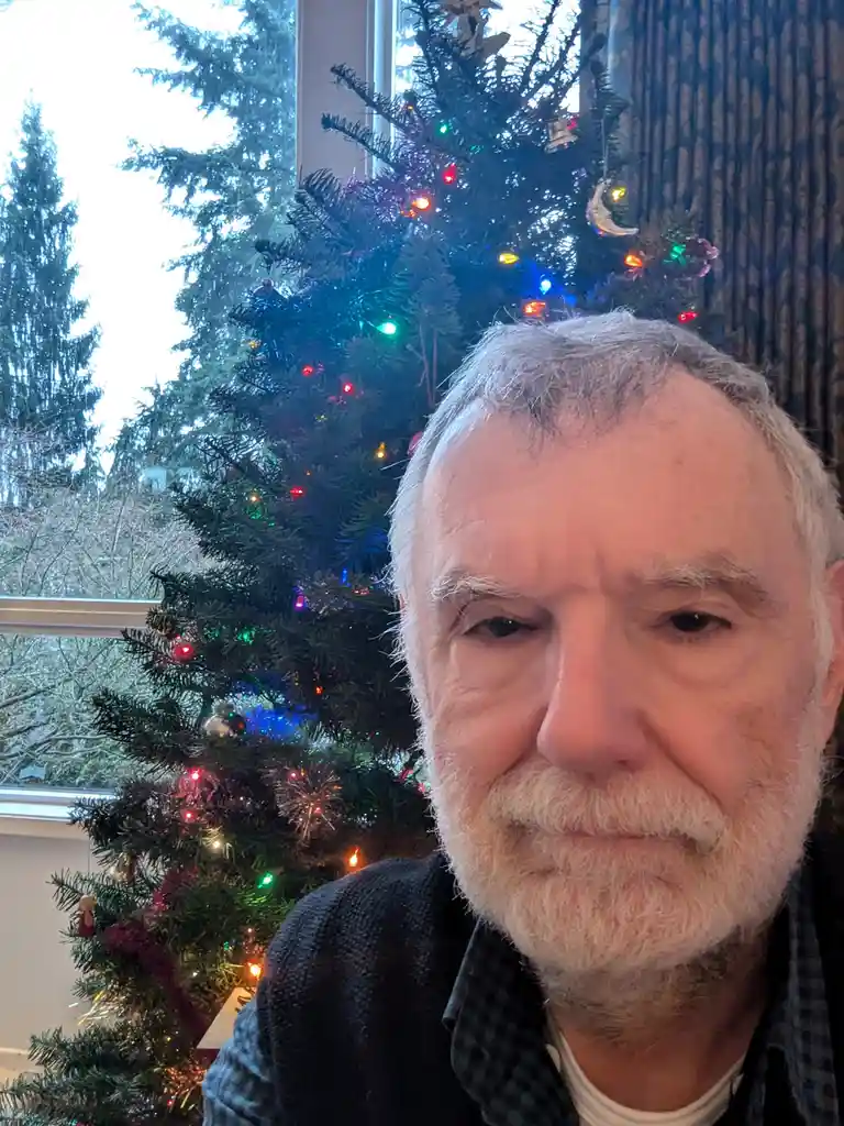 Enjoying the Festivities Post-Christmas Lunch