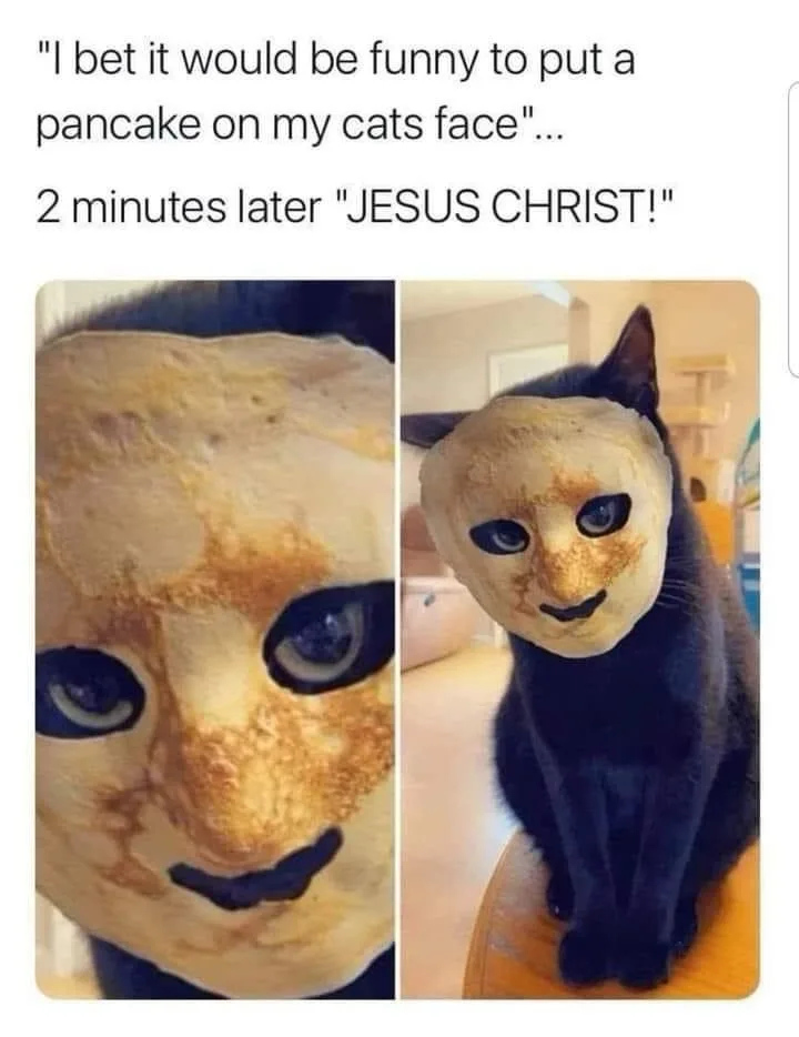 The image is a split-screen showing a pancake shaped like a human face on the left, and a black cat with the same pancake…