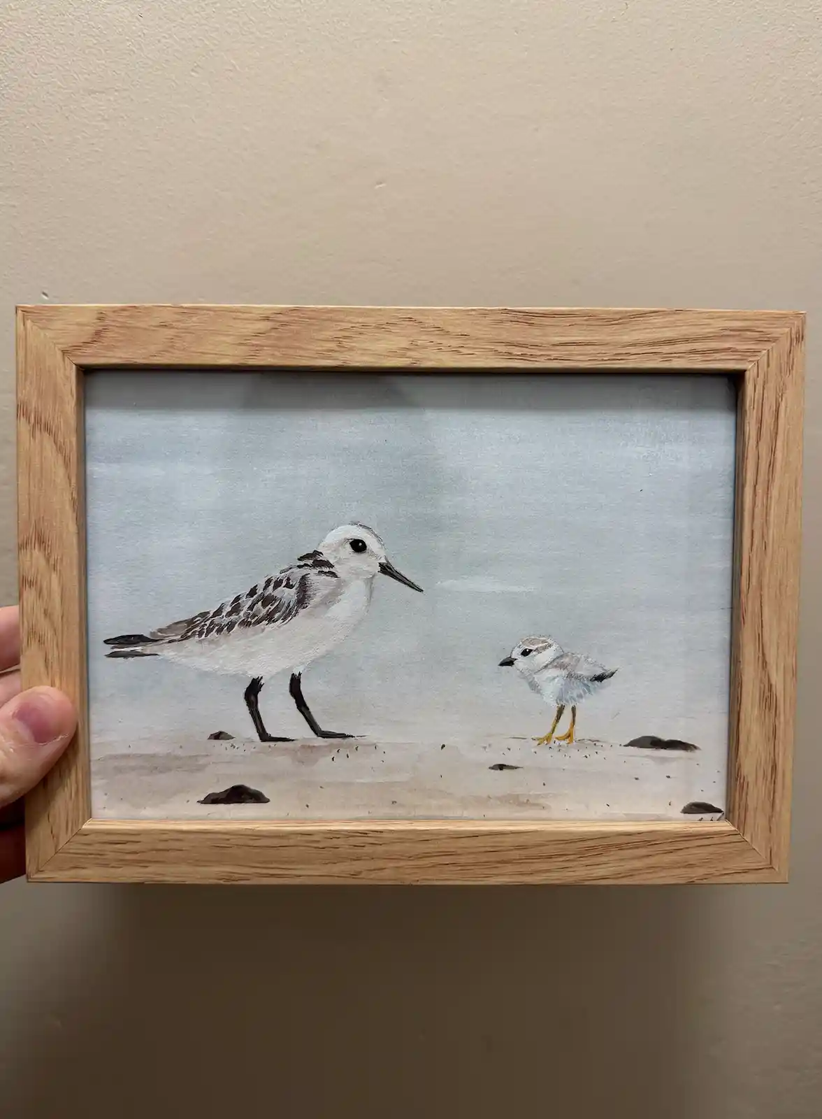 The Artistic Vision of Sanderling