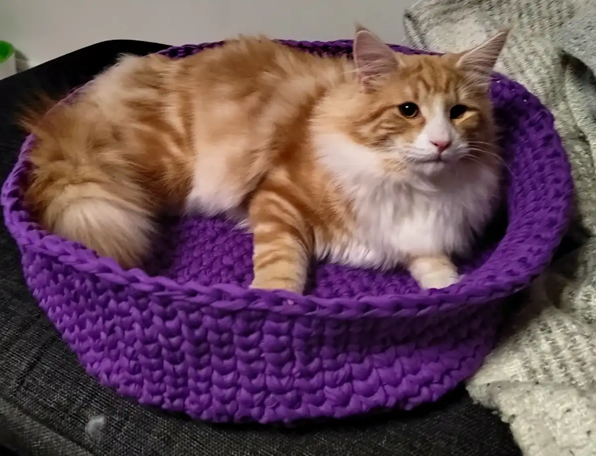 A fluffy orange and white cat lounges in a purple crocheted cat bed, looking unimpressed and slightly annoyed. The cat's…