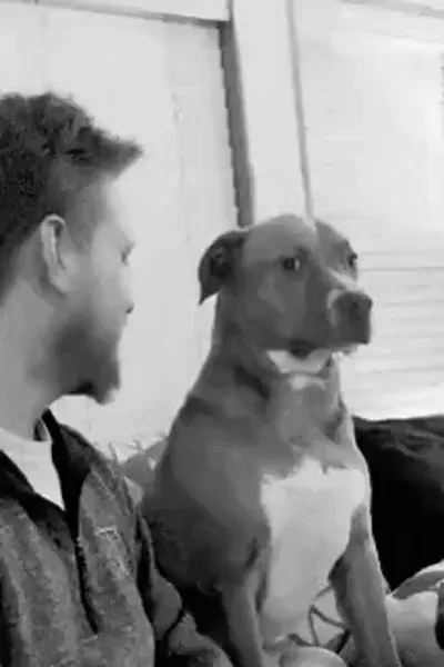 A black-and-white sequence of six frames shows a man and a pit bull sitting on a couch. The man talks to the dog, then pets…