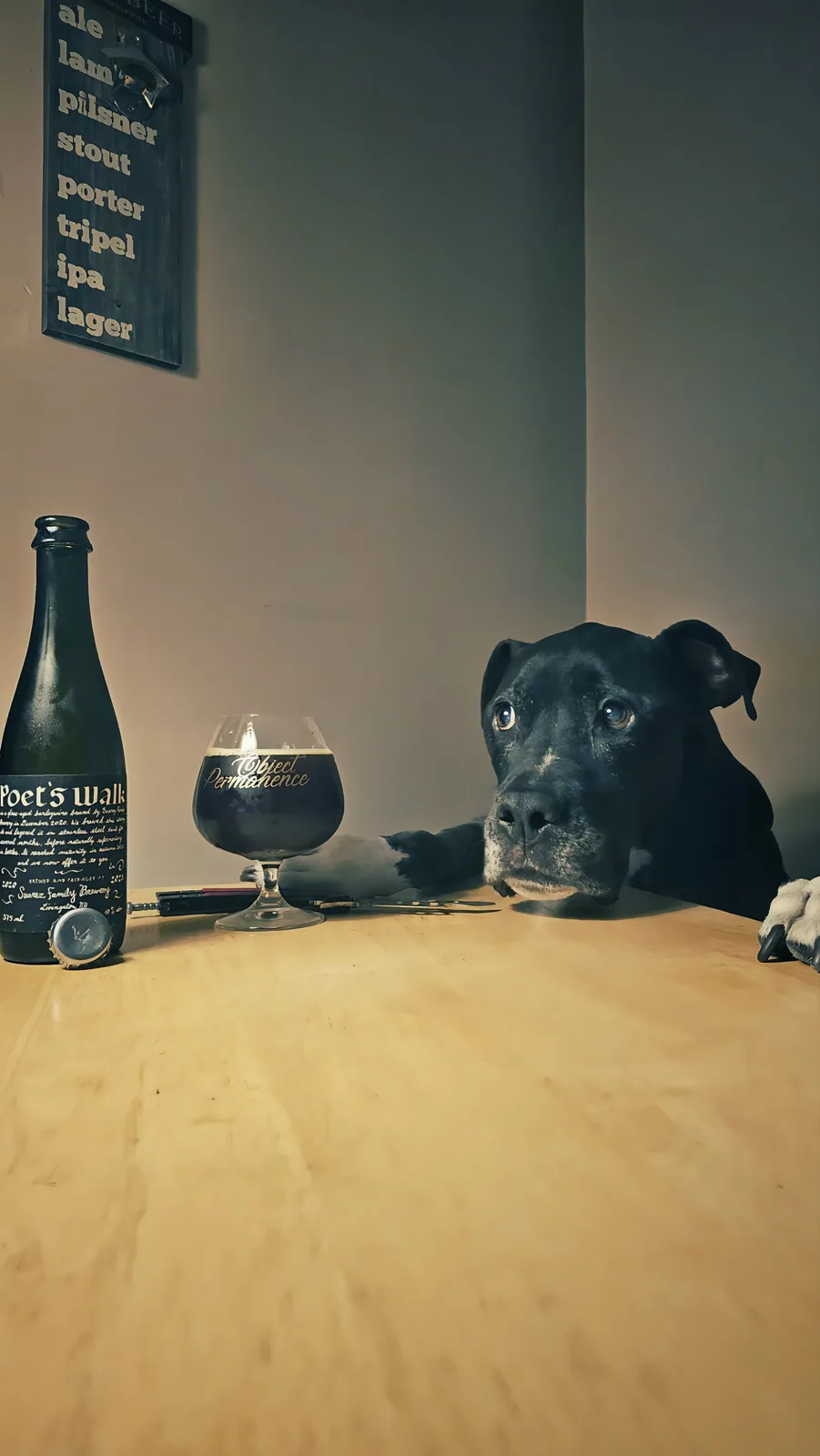 A black dog with white paws rests its head on a wooden table beside a dark beer bottle and a glass labeled 'Object…