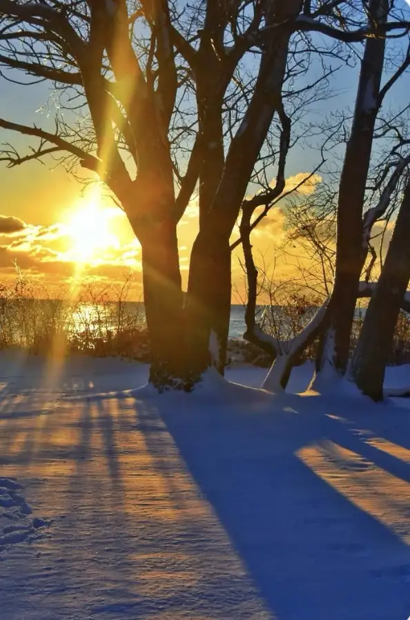 Shadows Dancing in the Sunrise
