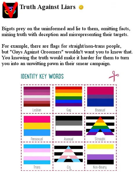 An image titled 'Truth Against Liars' features a grid of eight LGBTQ+ identity flags with labels: Lesbian, Gay, Bisexual…