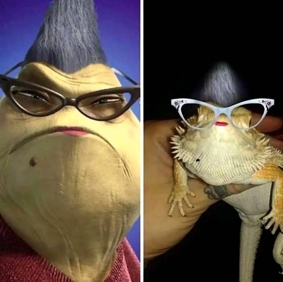 This split-image meme features a cartoon frog with a blue mohawk and dark-rimmed glasses on the left, and a real bearded…