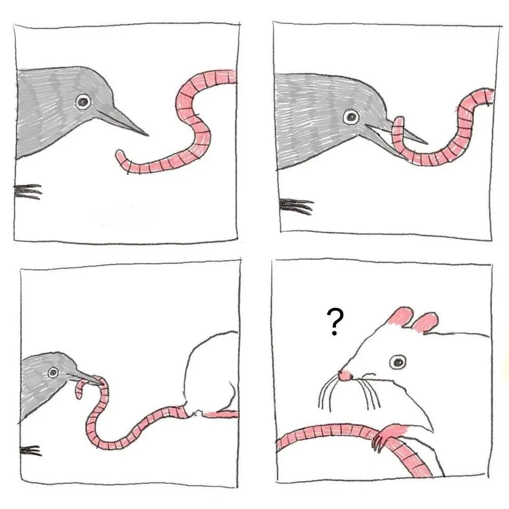 A four-panel comic strip shows a bird eating a worm, then the worm is revealed to be a mouse holding the worm, with a…