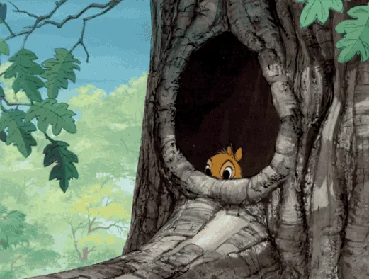 A sequence of six panels shows a cartoon deer peeking out from a tree hollow, gradually emerging more fully as the panels…