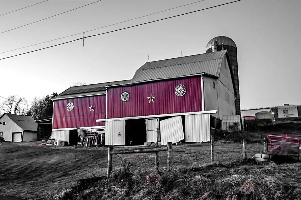 A black-and-white photograph of a rural farm scene with a large barn; the central part of the barn is vividly colored…