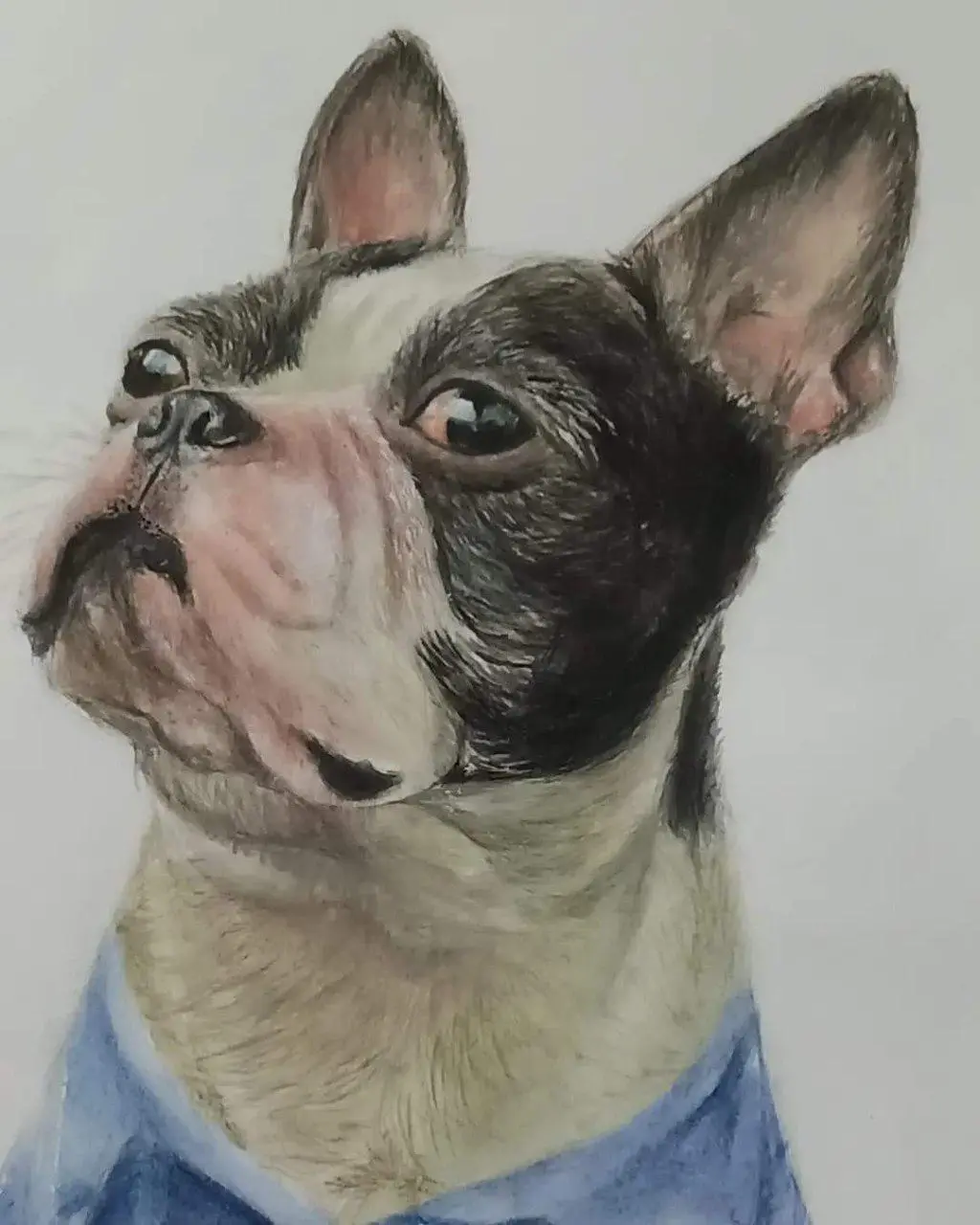 Adorable Pet Portrait by Paintsbyadel
