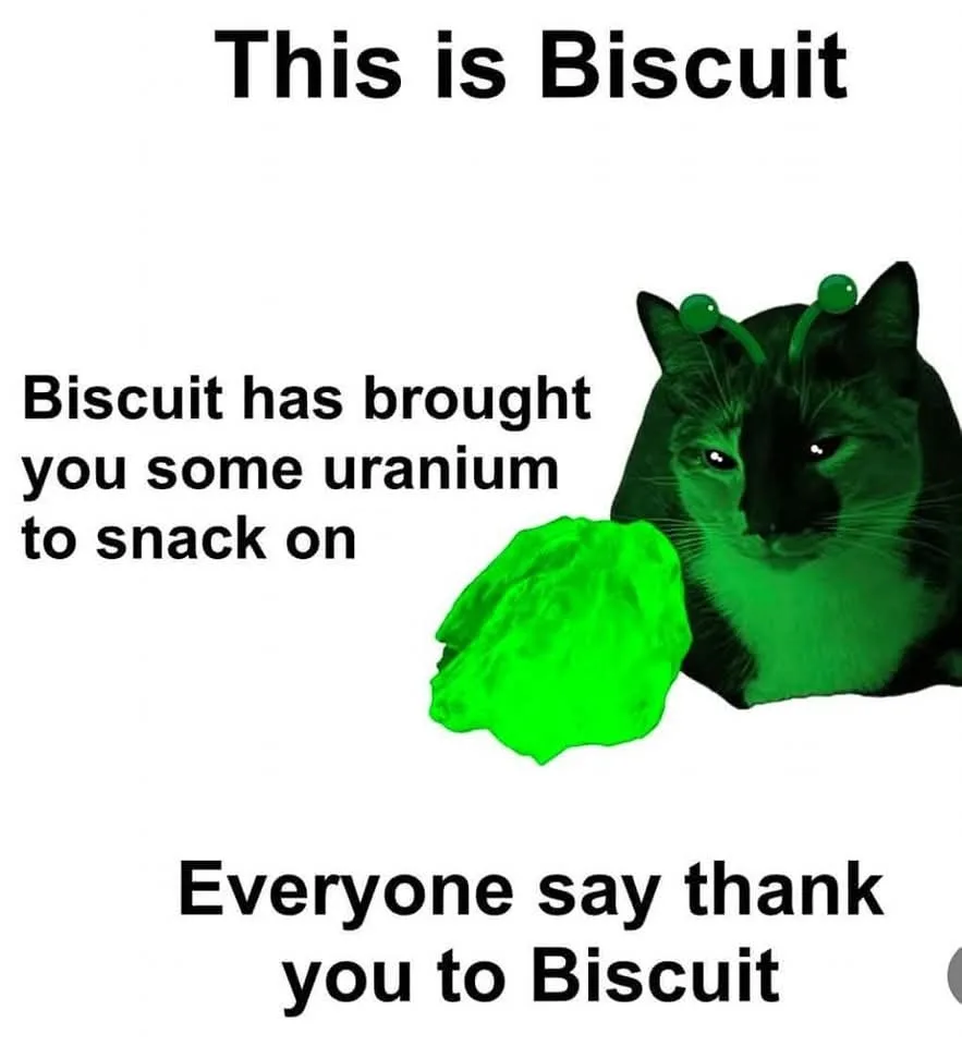 A black and white cat with two green antennae and glowing green eyes holds a bright green rock. Text above reads 'This is…