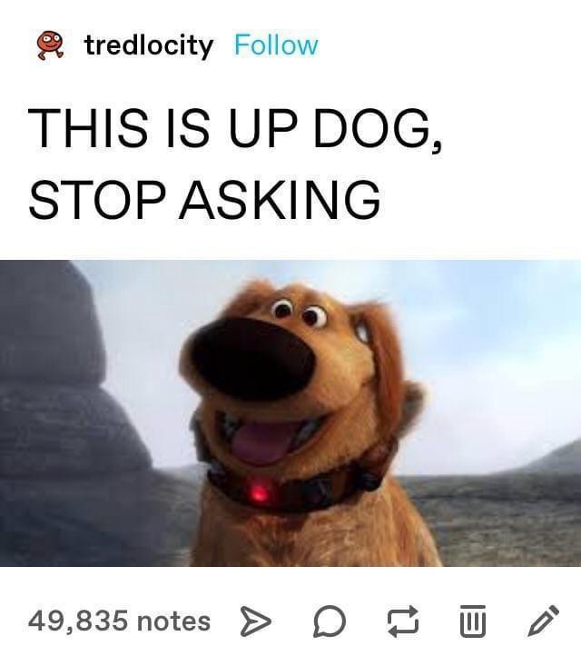 The image shows a cheerful, animated golden-brown dog with a large black nose, wearing a collar with a glowing red light…