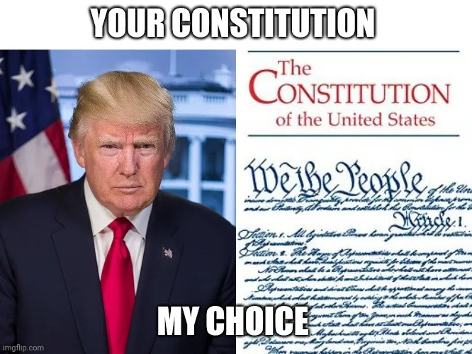 Our Constitution: The Choice That Defines Us