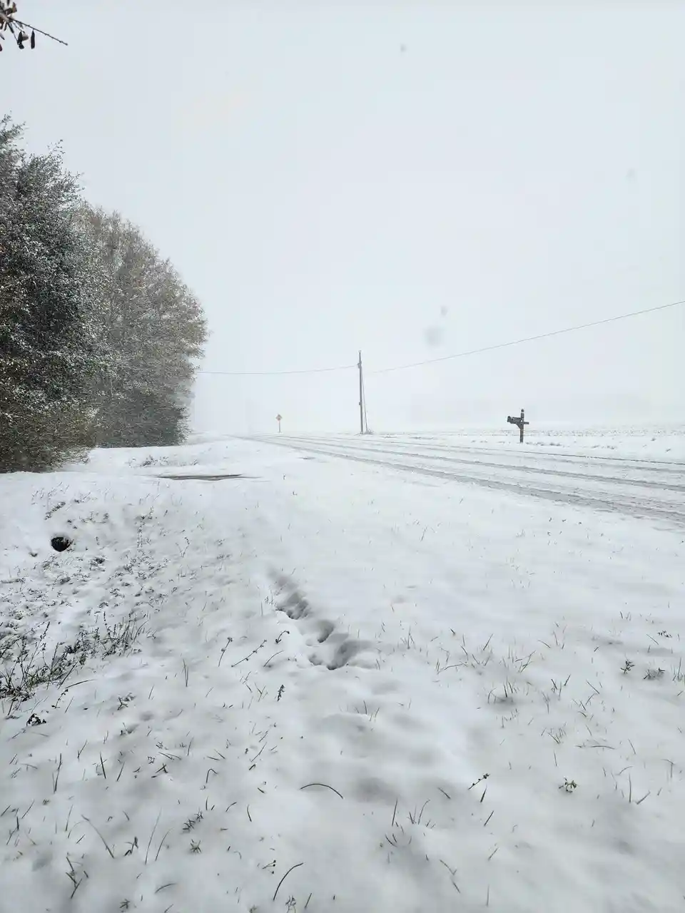 A snowy rural road stretches into a white, foggy distance, flanked by snow-covered trees and utility poles. In the…