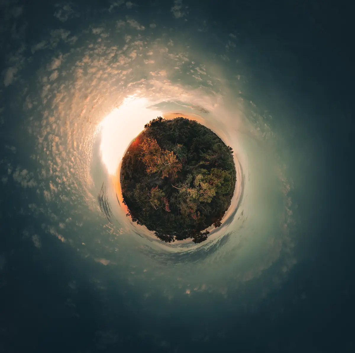 A 360-degree spherical panorama image shows a dense forest of green and autumn-colored trees at the center, surrounded by a…