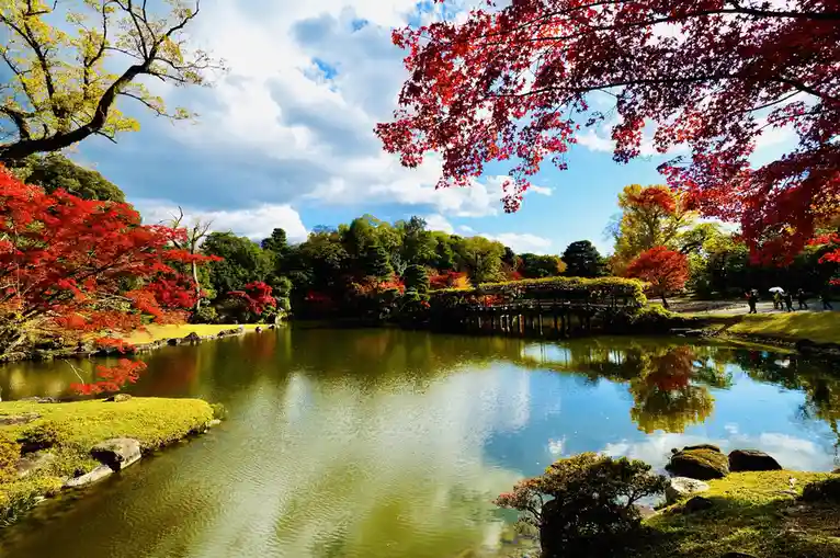 A serene Japanese garden in autumn with vibrant red and yellow maple leaves framing a calm pond reflecting the sky and…