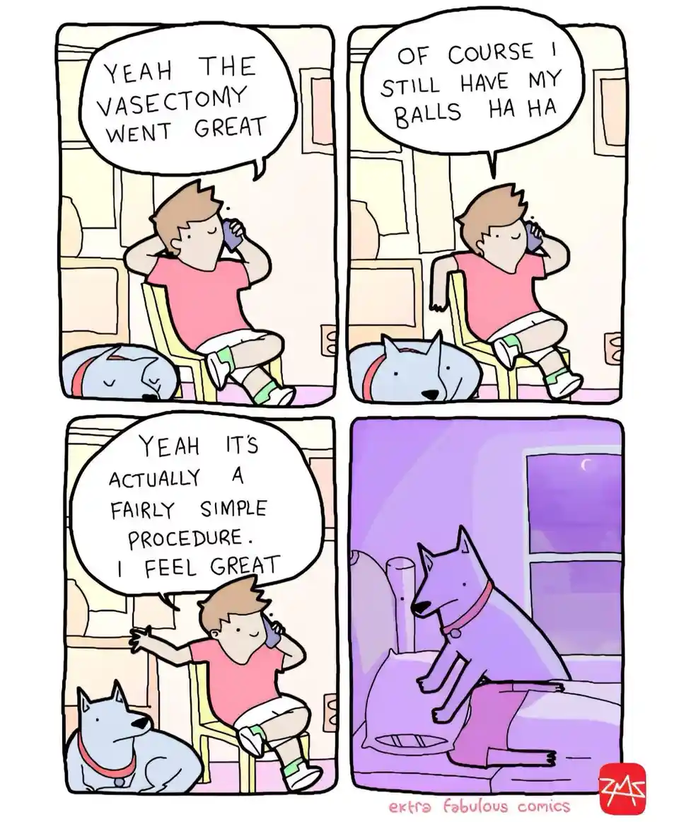 A four-panel comic shows a man on the phone, cheerfully reporting his vasectomy went well and that he still has his balls…