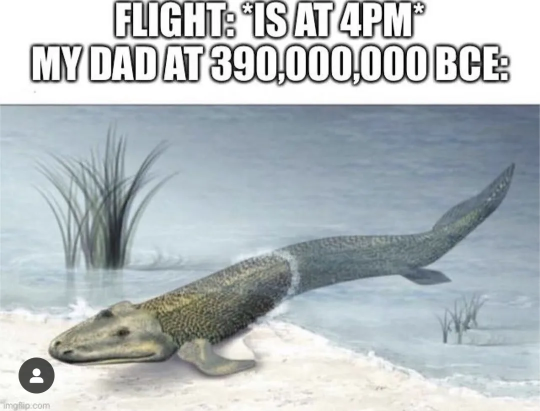 An illustration of a prehistoric amphibious reptile, likely a metriorhynchid, wading in shallow water near reeds. The image…