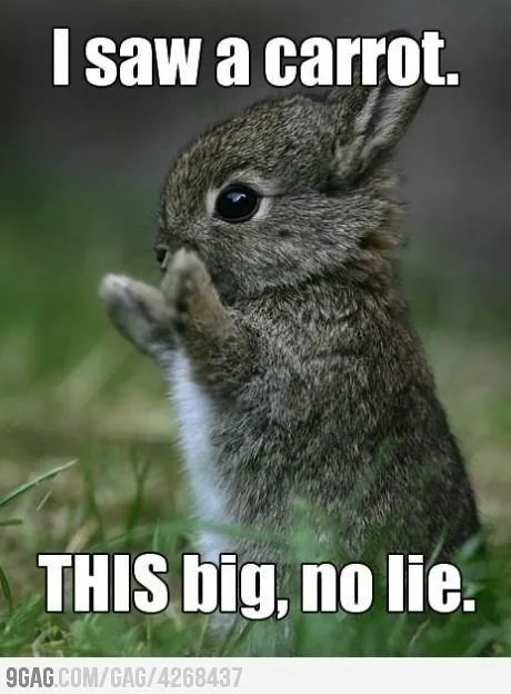 A small brown rabbit stands upright in grass, looking forward with one paw raised near its face. White bold text at the top…