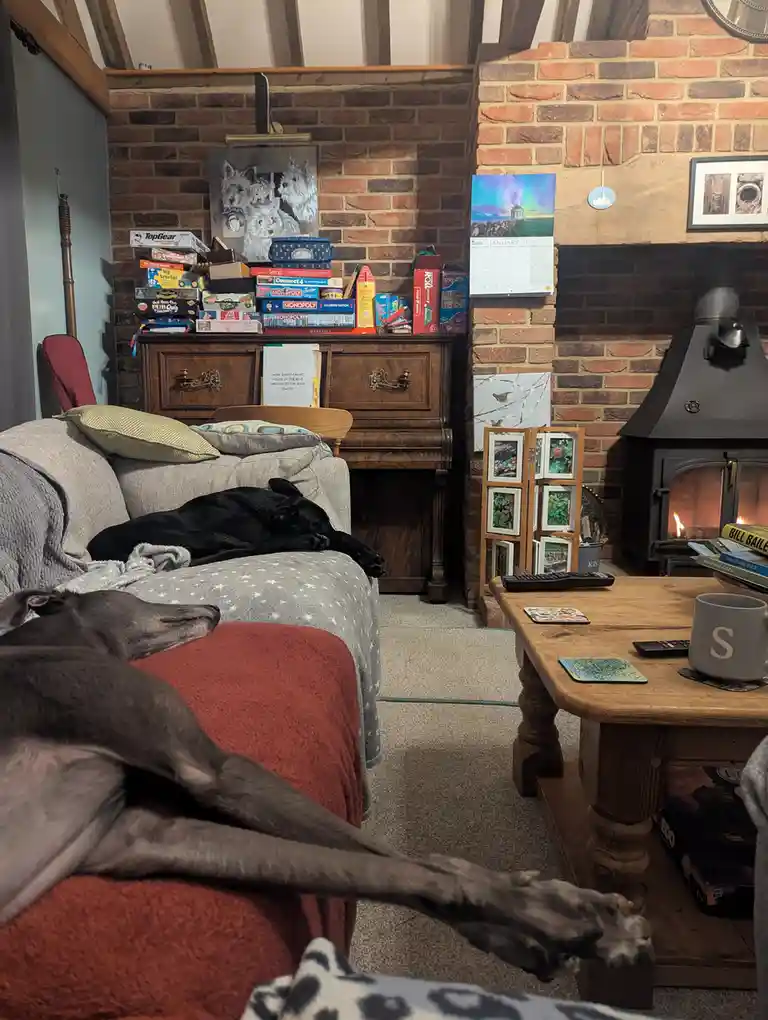 A cozy living room with two dogs sleeping on a sofa and ottoman, a lit wood stove, and a cluttered dresser with board games…