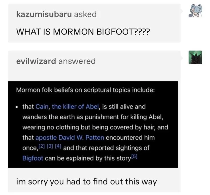 A screenshot of a chat conversation where one user asks 'WHAT IS MORMON BIGFOOT????' and another user replies with a text…