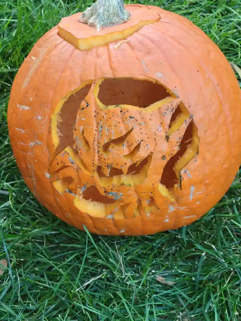 A close-up photo shows an orange pumpkin lying on green grass, with a crudely carved face that appears to be a…